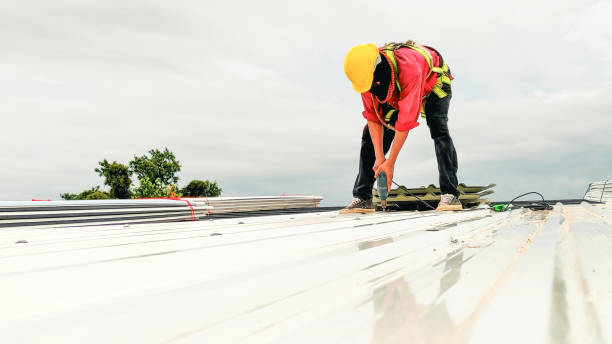 Best Storm Damage Roof Repair  in Ashland, PA